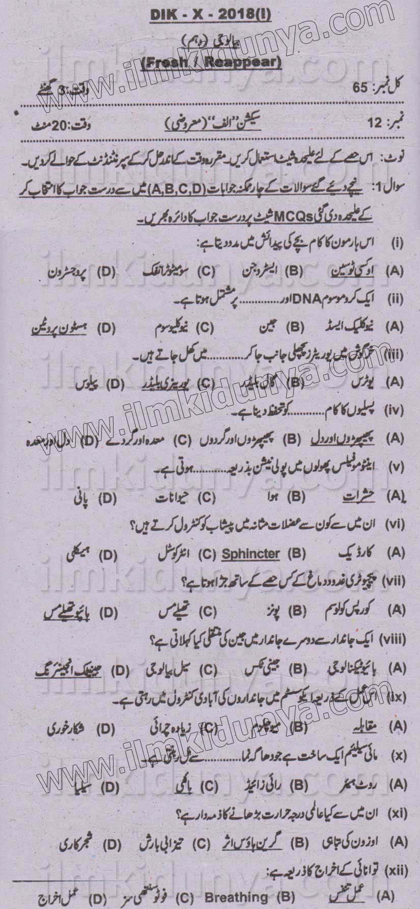 Paper Image